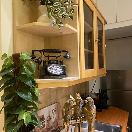 Jungle Story By Millenaris Park With Free Parking Apartment